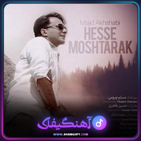 دانلود آهنگ حس مشترک از مجید اخشابی - آهنگیفای