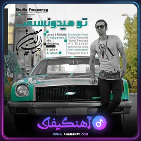 دانلود اهنگ تو میدونستی از احسان الدین معین - اهنگیفای