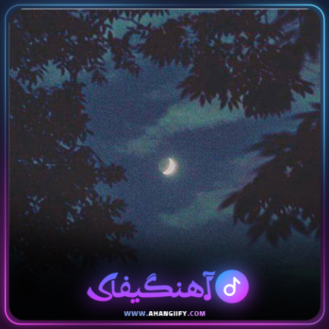 دانلود اهنگ شب زنده داری از هایده - اهنگیفای