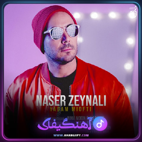 دانلود اهنگ یادم میفتی از ناصر زینعلی - اهنگیفای