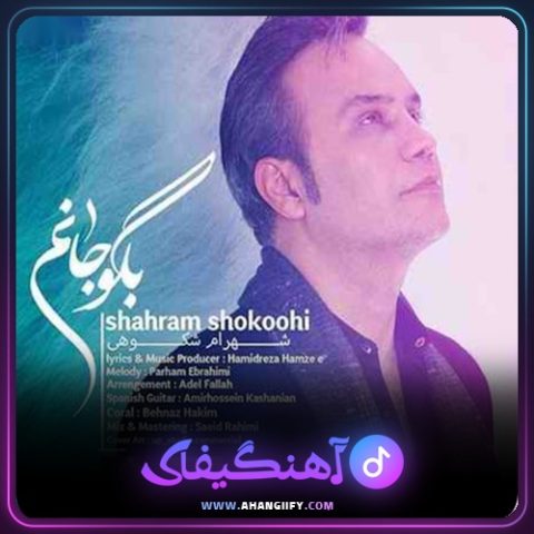 دانلود آهنگ بگو جانم از شهرام شکوهی - آهنگیفای