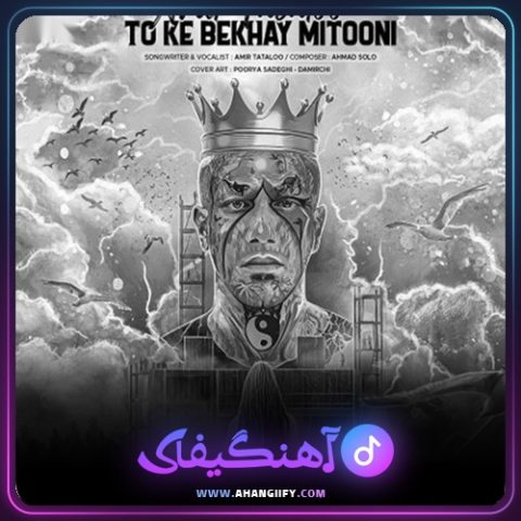 دانلود آهنگ تو که بخای میتونی ( To Ke Bekhay Mitooni ) از امیر تتلو - آهنگیفای