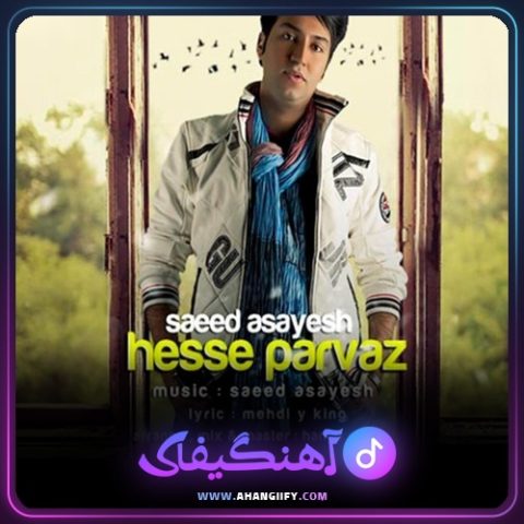 دانلود آهنگ حس پرواز از سعید آسایش - آهنگیفای