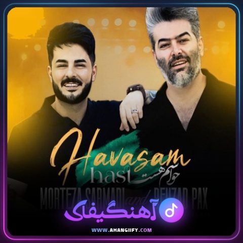 دانلود آهنگ حواسم هست از مرتضی سرمدی - آهنگیفای