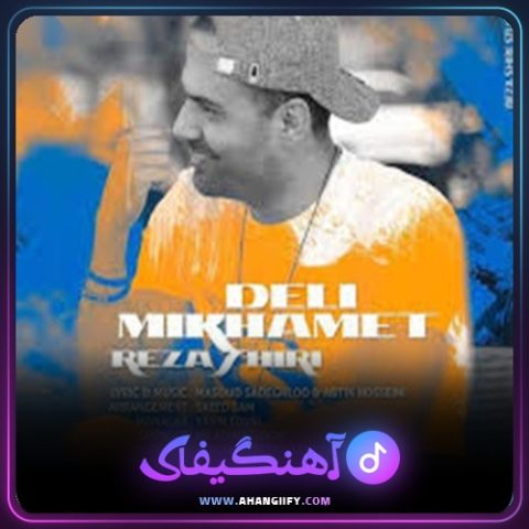 دانلود آهنگ دلی میخوامت از رضا شیری - آهنگیفای