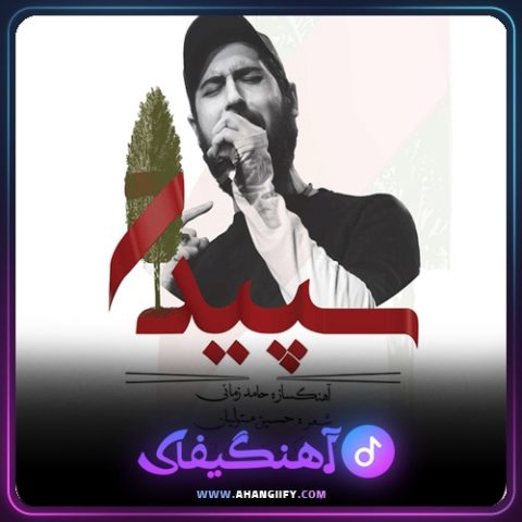 دانلود آهنگ سپیدار از حامد زمانی - آهنگیفای