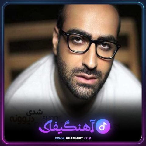 دانلود آهنگ شدی دیونه از مهدی جهانی - آهنگیفای