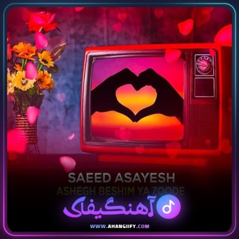 دانلود آهنگ عاشق بشیم یا زوده از سعید آسایش - آهنگیفای