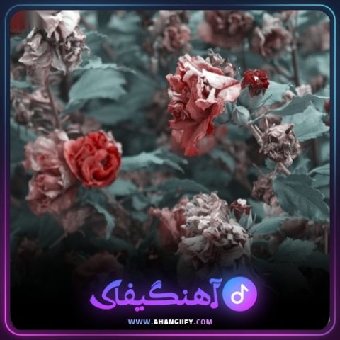 دانلود آهنگ عمق از بهرام - آهنگیفای