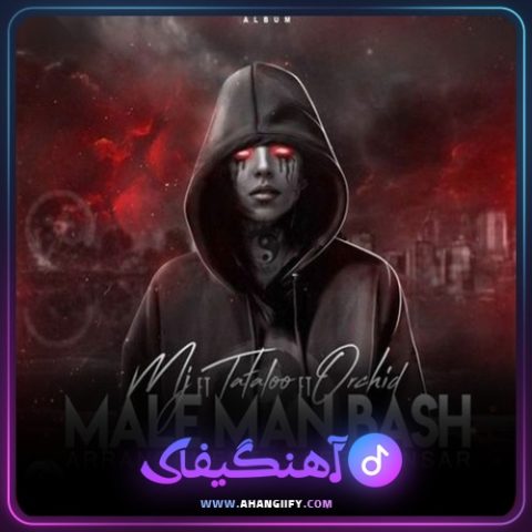 دانلود آهنگ ماله من باش ( male man bash ) از امیر تتلو - آهنگیفای
