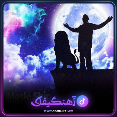 دانلود آهنگ مثل شیر از امیر تتلو - آهنگیفای