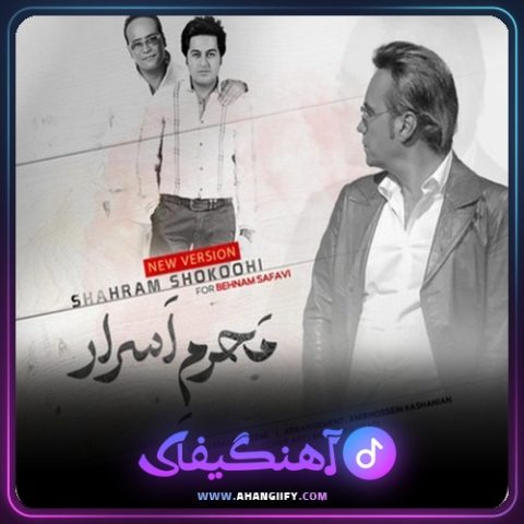دانلود آهنگ محرم اسرار از شهرام شکوهی - آهنگیفای