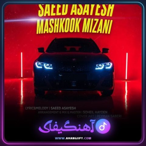 دانلود آهنگ مشکوک میزنی از سعید آسایش - آهنگیفای