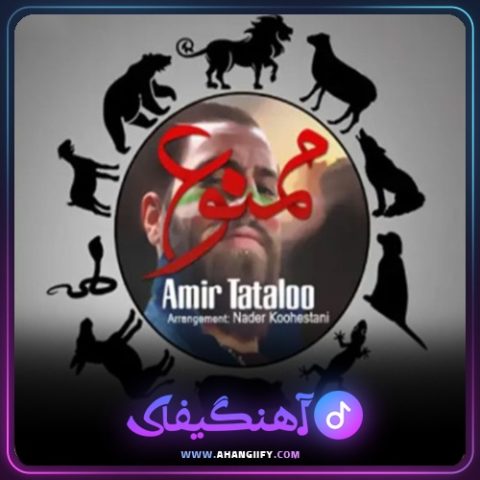 دانلود آهنگ ممنوع از امیر تتلو - آهنگیفای
