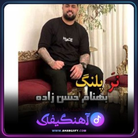 دانلود آهنگ نر پلنگ از بهنام حسن زاده - آهنگیفای