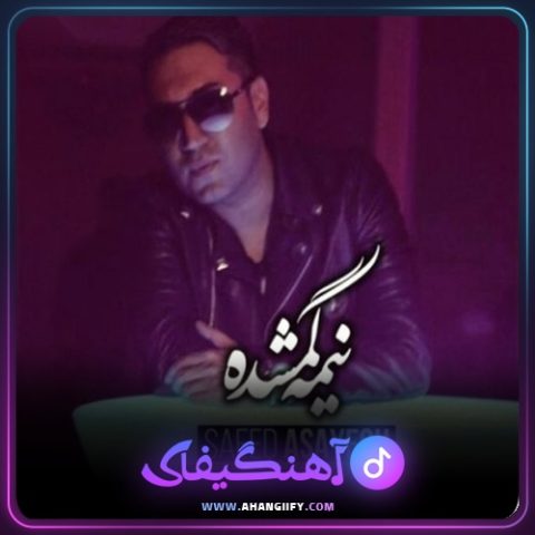 دانلود آهنگ نیمه گمشده از سعید آسایش - آهنگیفای