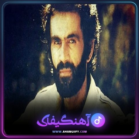 دانلود آهنگ وادی عشق از حبیب - آهنگیفای