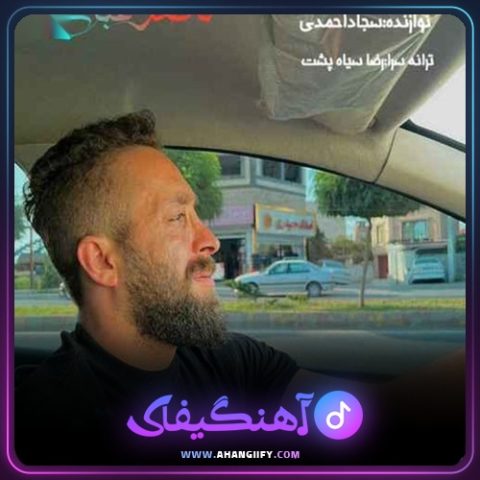 دانلود آهنگ پرستو از ناصر عباسی - آهنگیفای
