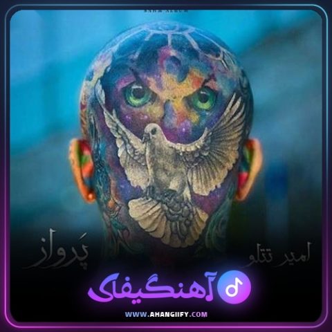 دانلود آهنگ پرواز ( parvaz ) از امیر تتلو - آهنگیفای