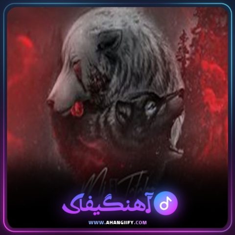 دانلود آهنگ گرگ 2 ( gorg 2 ) از امیر تتلو - آهنگیفای