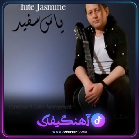 دانلود آهنگ یاس سفید از پیروز - آهنگیفای