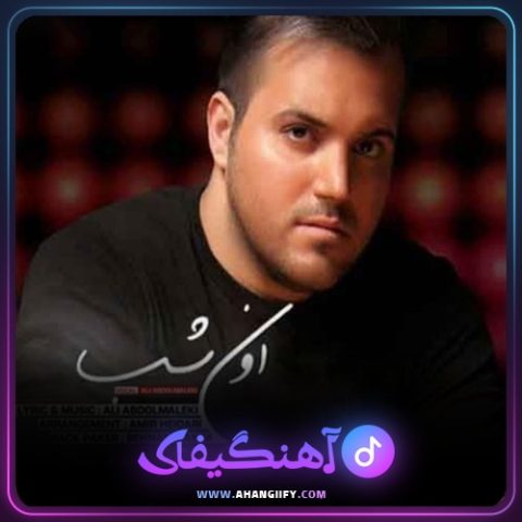 دانلود اهنگ اون شب از علی عبدالمالکی - اهنگیفای