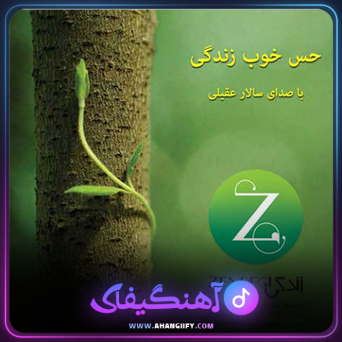 دانلود اهنگ حس خوب زندگی از سالار عقیلی - اهنگیفای