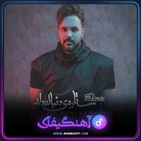 دانلود اهنگ ستاره دنباله دار از علی عبدالمالکی - اهنگیفای