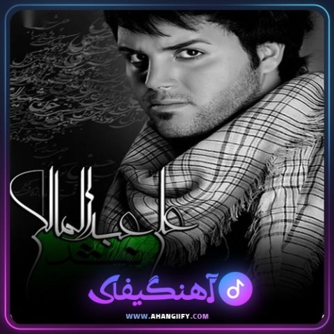 دانلود اهنگ نشد از علی عبدالمالکی - اهنگیفای