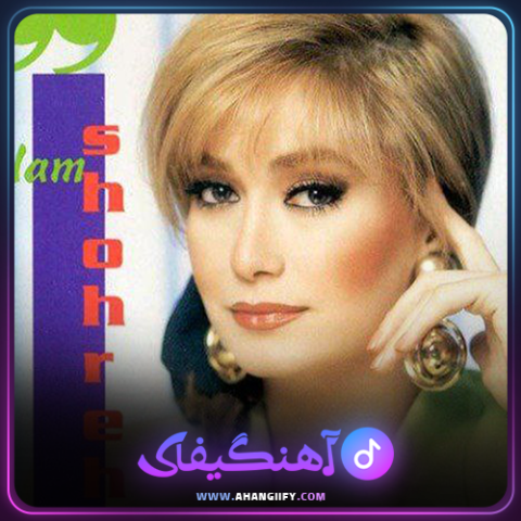 دانلود اهنگ نمیذارم بری از شهره صولتی - اهنگیفای