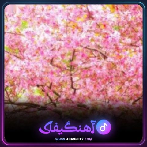 دانلود آهنگ آمدی اما از بیژن خاوری - آهنگیفای