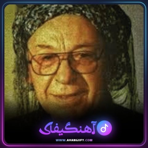 دانلود آهنگ اری ای به زولف و روخسار از محمد ماملی - آهنگیفای