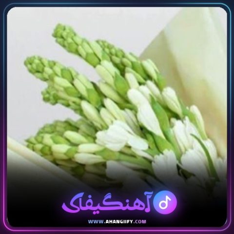 دانلود آهنگ اهورایی تبار از بیژن خاوری - آهنگیفای