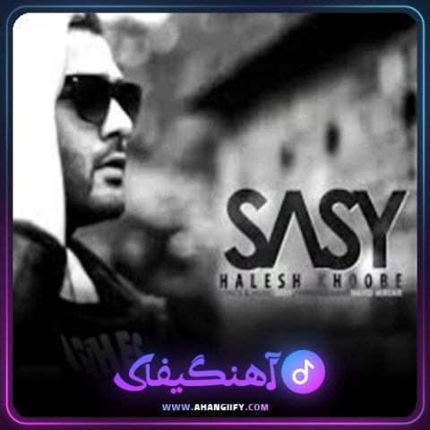 دانلود آهنگ حالش خوبه از ساسی مانکن - آهنگیفای