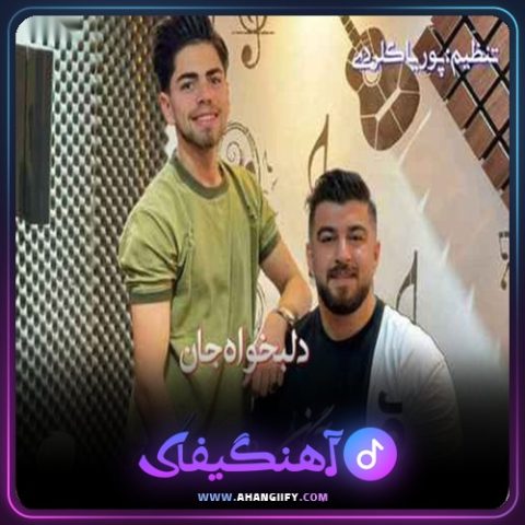 دانلود آهنگ دلبخواه جان از مهدی آبگون - آهنگیفای