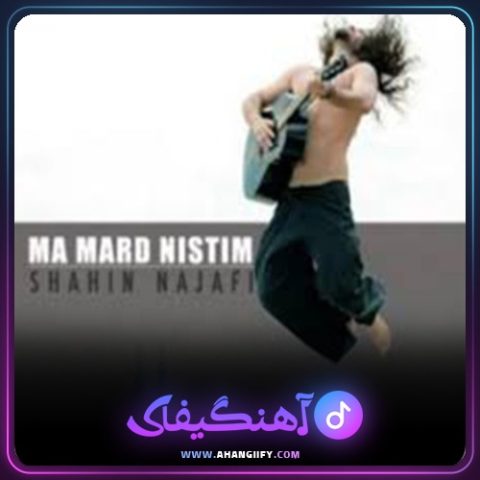 دانلود آهنگ زندگی سگی ما از شاهین نجفی - آهنگیفای