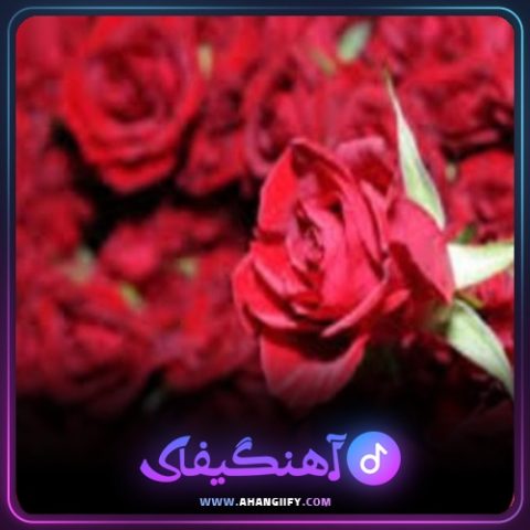 دانلود آهنگ سال گل از بیژن خاوری - آهنگیفای