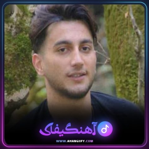 دانلود آهنگ سره جوونی از علیرضا باباجانی - آهنگیفای