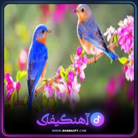 دانلود آهنگ پیر ما کو از بیژن خاوری - آهنگیفای
